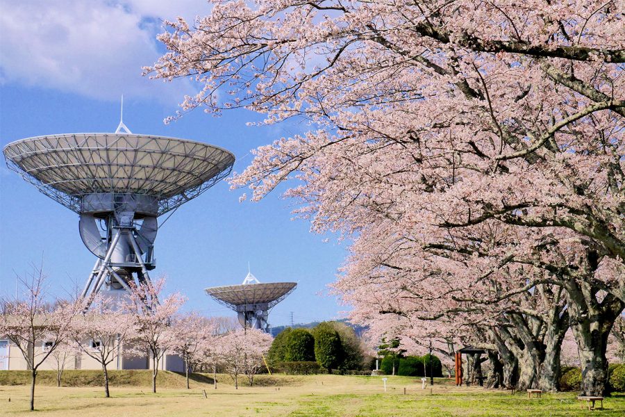 さくら宇宙公園のイメージ